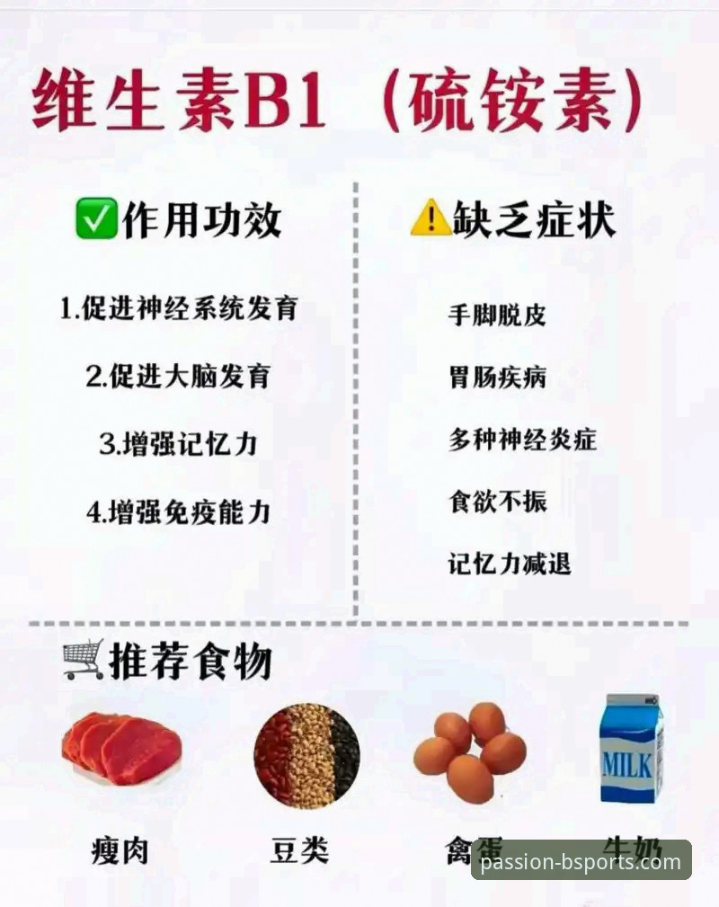 解锁B体育平台的3个关键登录方案与5项安全技术评测